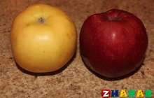 Шаш шаятын сұйықтық дайындайық