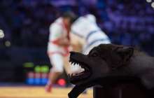 Айбек Нұғымаров "Қазақстан барысы" турнирінде жеңіске жетті