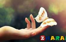 Саған адал әйел