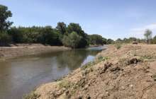 Ақтөбе өзендерін тазалаған кезде ағаштарды заңсыз отағандар үстінен іс қозғалды