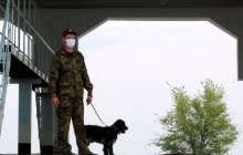 Қытай азаматтарының заңсыз көші-қонын ұйымдастырғандар сотталды