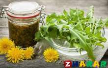 Бақбақ гүлінің адам денсаулығына пайдасы