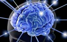 Ми жұмысына әсер ететін факторлар