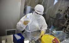 Ғалымдарды аса қауіпті бактериялар шошытып отыр