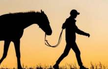 Жамбыл облысында асылып қалған малшы полиция инспекторынан қысым көргенін айтады