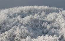 13:28Астанадағы аязды күндер