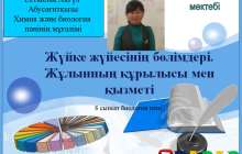 Презентация (слайд): Жүйке жүйесінің бөлімдері