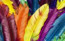 Бір түске деген құмарлық нені білдіреді?