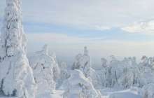 Бүгін еліміз бойынша бұрқасынды, аязды ауа райы сақталады