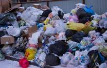 Нұр-Сұлтанның іргесіндегі ауылда иттердің өлексесі тура мешіт жанында жатыр