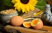 Жұмыртқаның зияны - ғылыми зерттеу