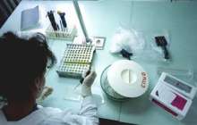 Шымкентте ВИЧ жұқтырған 44 әйел сәбилі болған