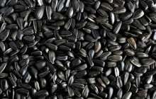 Пісте шағу пайдалы ма, зиян ба?