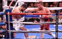 Альварес түрлі салмақтарда жұдырықтаса алады