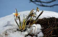 28 ақпан мен 2 наурыз аралығында ауа райы қандай болады