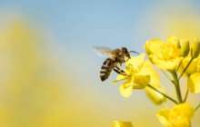 Ғалымдар 5G-ді қолдануға қарсы петиция жариялады