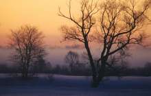 Қостанай облысында екі әйел үсіп өлді