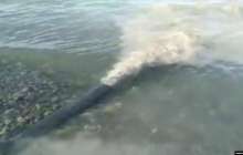 Билік Алакөлге "құбырдан лас су төгіліп жатыр" деген ақпаратты жоққа шығарды