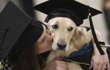 Университеттердің бірінде ит магистр дәрежесін алды