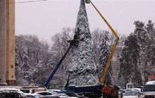 Бес метрлік шырша кішкентай баланың үстіне құлап кетті