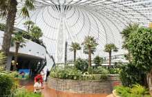 Ханшатырдағы 9 жасар қыз өлімі: лагерьлер жұмысын тоқтата ма