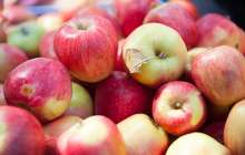 Қытай иероглифі жазылған алма қазақстандықтарды шошытты