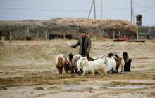 президент ауылдардың әлеуеті жайлы сөз қозғады