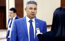 Перуашев Қазақстанның атауын өзгертуді ұсынды