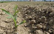 Қостанайда мемлекетке 290 мың гектар жер телімі қайтарылды