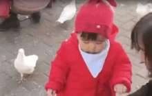 "Мойнынан шап берді": кішкентай қыз көгершіннен нанды тартып алды