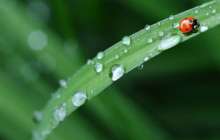 Ауа райы болжамы: 4 маусым