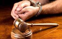 Алғаш рет ит ұрлаған адам сотталды