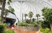 9 жасар қыз бассейнге батып кетті