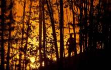 тұрғындар төтенше жағдай тәртібін енгізуді сұрайды