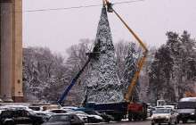 Бес метрлік шырша кішкентай баланың үстіне құлап кетті – қорқынышты видео