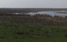 Өзбекстанмен шекарадағы Қоғалы тұрғындары "жер алмасуға" наразы