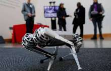 Видео: Гепард-робот билеп, көпшілікті таң қалдырды