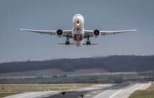 Қозғалтқышқа түскен құс ұшақты тоқтатты