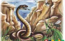 Ертегі: Қарлығаштың құйрығы неге айыр? (сурет, видео)