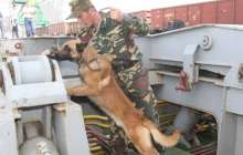 Ақтау теңіз портында ер адам бас киімге есірткі заттарын салып алып өтпекші болды