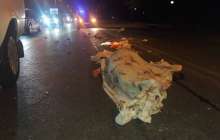 Алматыда қарт кісіні көлік қағып өлтірді