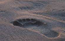 Алматыда жоғалып кеткен жас жігіт табылды