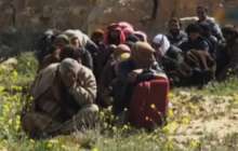 Сирияда 150 содыр өз еркімен берілді