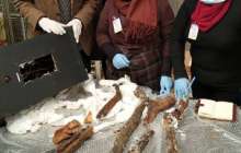 Белгісіз біреулер Каирден ежелгі мумияны поштамен жібермек болған