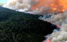 Австралия штатында 9 ғимарат күлге айналды