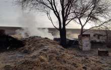 Көктем слайд, презентация - Қазақ тілі