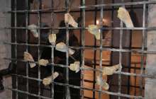 31 мамыр – саяси қуғын-сүргін құрбандарын еске алу күні (Фото, видео)