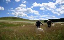 Күршім әкімі жер сатылып жатыр деген ақпаратқа қатысты мәлімдеме жасады