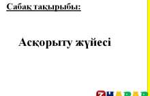 Презентация (слайд): Асқорыту жүйесі