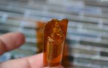 2019 жылы қаңтарда өтетін ҰБТ-ға кімдер қатыса алады?